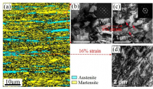 Figure 4 (a) Electron backscatter diffraction (EBSD) phase image showing the lamella microstructure of layered austenite grains () embedded in tempered martensite (') matrix. (b) The dislocation structures in martensite as enlarged in transmission electron microscopy (TEM) image. (c) TEM image showing the elongation of dislocation cell structure after the 8% tensile strain. (d) TEM image confirming the transformation of metastable austenite to martensite after 16% tensile strain.