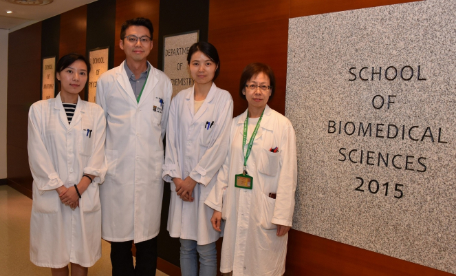 (左起)香港大學李嘉誠醫學院生物醫學學院博士後研究員劉艾佳小姐、助理教授張知恆博士、博士生饒豔霞小姐及高級技術員張佩麗女士。