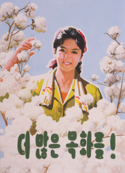 《更多棉花!》