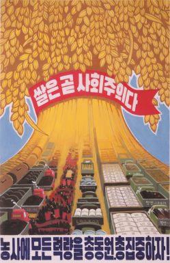 《大米就是社會主義。讓我們集中全力猛攻農業!》