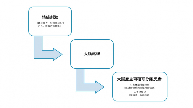 港大心理學研究揭示大腦如何建構情緒體驗